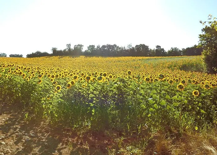 Semesterbostad La Petite Maison Crezieres